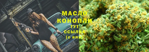 ECSTASY Богородицк